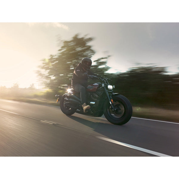 Escapes deportivos Harley-Davidson Sport