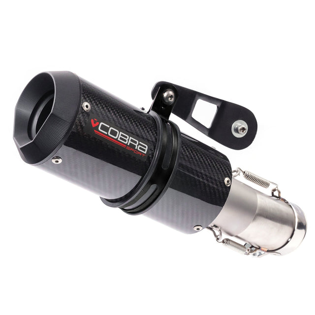 Línea de Escape Slip-On para BMW M 1000 R (2021-24)